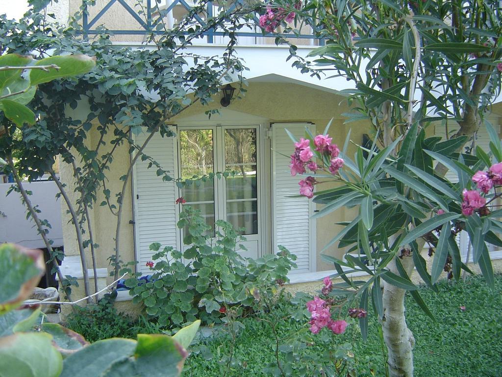 Hotel Paradise Samos Town